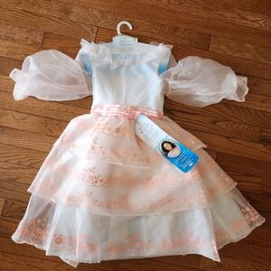 Brand New Little Mermaid Ariel Celebration dress 4-6x